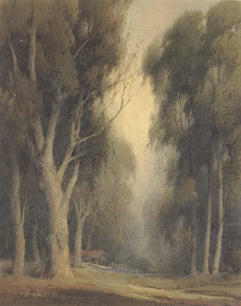 Eucalyptus Trees,Burlingame, unknow artist